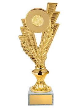 Приз наградной - PS1708-Z