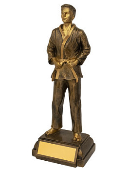 Приз тематический «Дзюдо» - PS1858