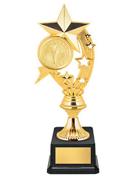 Приз наградной «Звёзды» - PS1634