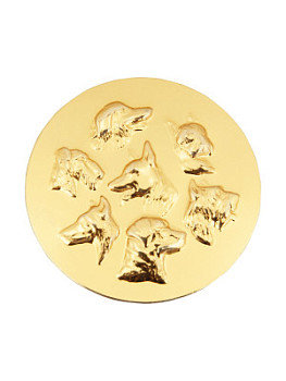 Вкладыш в медаль/ приз/ кубок - IN#A12-51Z