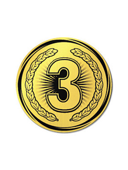 Вкладыш в медаль/ приз/ кубок - VK381/382-33