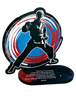 Награда «Карате» акриловая - PS1907