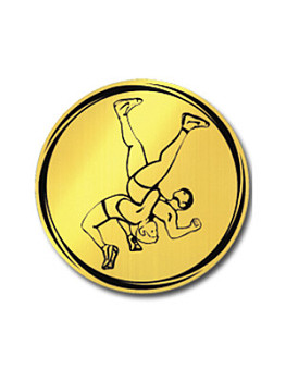 Вкладыш в медаль/ приз/ кубок - VK381/382-9