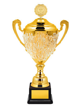 Кубок оригинальный - KM2801