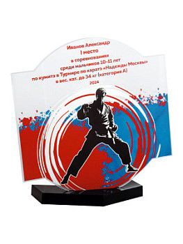 Награда «Карате» акриловая - PS1906