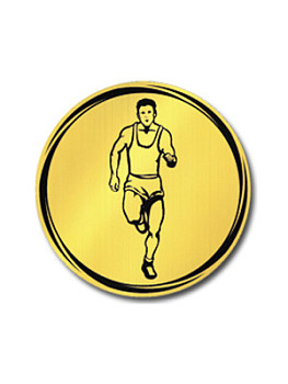 Вкладыш в медаль/ приз/ кубок - VK381/382-27